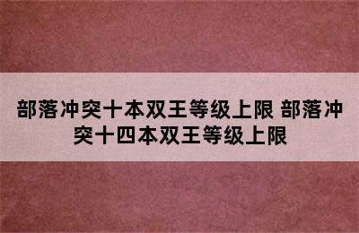 部落冲突十本双王等级上限 部落冲突十四本双王等级上限